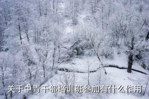 上海市 黨外中青班 2017，陳良的個人簡介