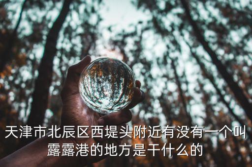 天津市北辰區西堤頭附近有沒有一個叫露露港的地方是干什么的