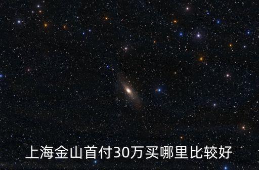 上海金山首付30萬(wàn)買哪里比較好