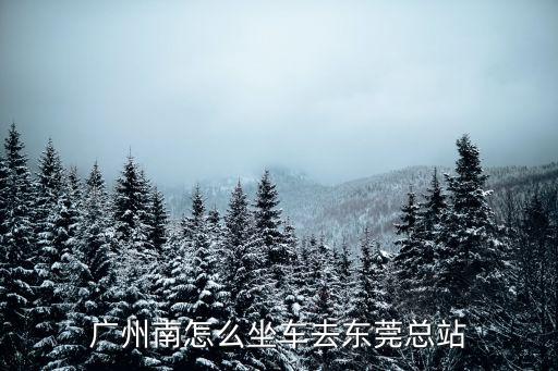 從廣州南到東莞總站，廣州南站到東莞總站汽車站廣州南站高鐵站出來坐汽車要多久  搜