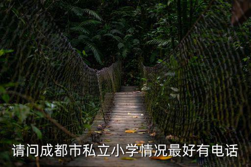 成都市民辦小學招生2019，成都雙林小學已經在招生了嗎