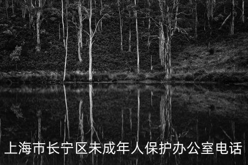 上海市長寧區未成年人保護辦公室電話