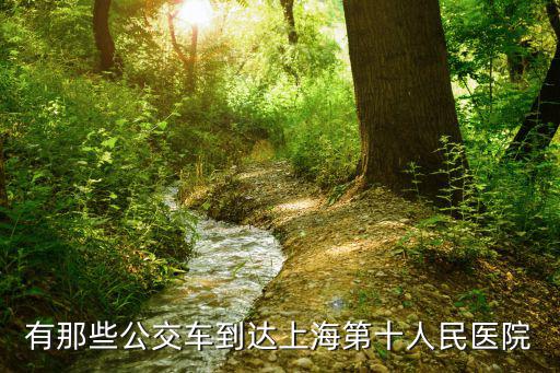 有那些公交車到達上海第十人民醫院