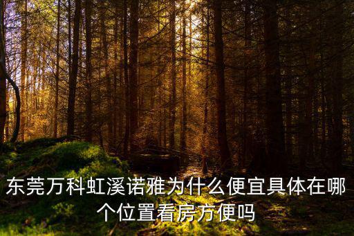 東莞萬科虹溪諾雅為什么便宜具體在哪個位置看房方便嗎