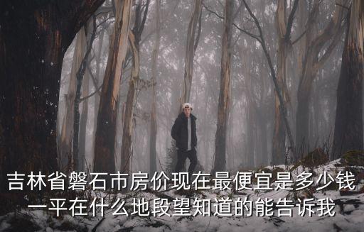 吉林省磐石市房?jī)r(jià)現(xiàn)在最便宜是多少錢一平在什么地段望知道的能告訴我
