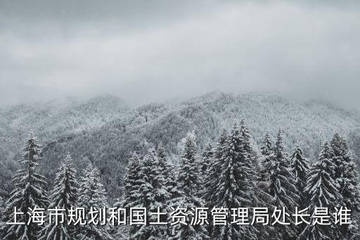上海市規(guī)劃和國(guó)土資源管理局處長(zhǎng)是誰(shuí)