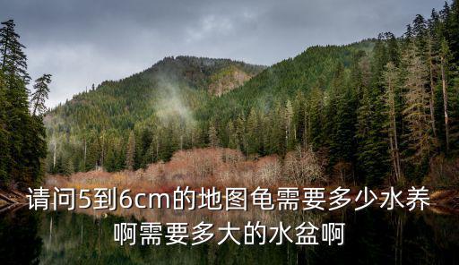 請問5到6cm的地圖龜需要多少水養(yǎng)啊需要多大的水盆啊