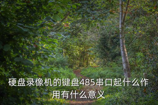 硬盤錄像機的鍵盤485串口起什么作用有什么意義