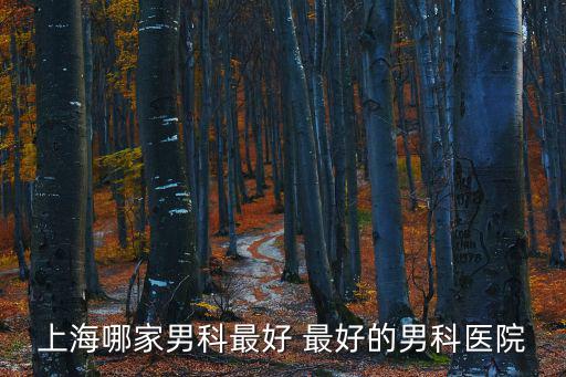 上海哪家男科最好 最好的男科醫院