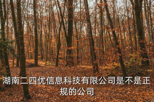 湖南二四優信息科技有限公司是不是正規的公司