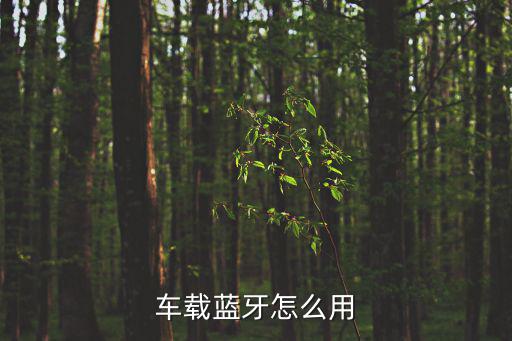 車載藍牙怎么用