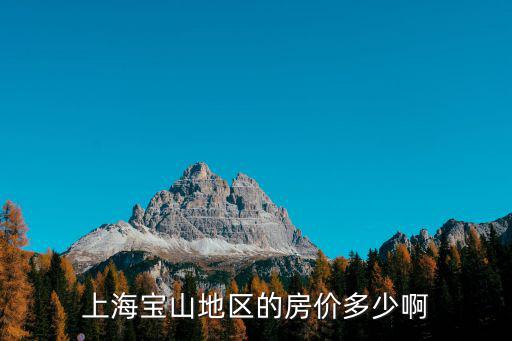 上海寶山地區(qū)的房價多少啊