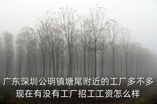 深圳公明塘尾第一工業區現在怎么樣，廣東深圳公明鎮塘尾附近的工廠多不多現在有沒有工廠招工工資怎么樣
