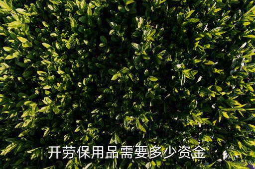 開勞保用品需要多少資金