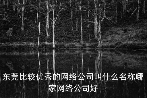 東莞比較優秀的網絡公司叫什么名稱哪家網絡公司好