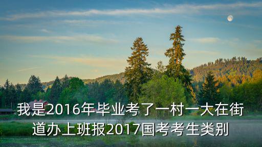 我是2016年畢業考了一村一大在街道辦上班報2017國考考生類別