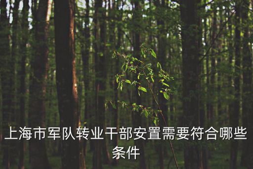 上海市軍隊轉(zhuǎn)業(yè)干部安置需要符合哪些條件