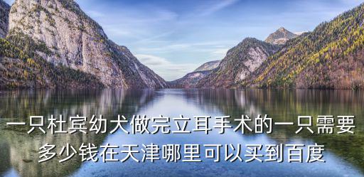一只杜賓幼犬做完立耳手術的一只需要多少錢在天津哪里可以買到百度