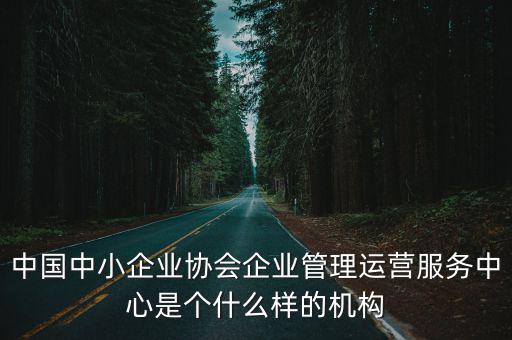 中國中小企業(yè)協(xié)會企業(yè)管理運(yùn)營服務(wù)中心是個什么樣的機(jī)構(gòu)