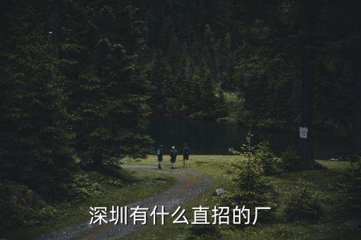 深圳有什么直招的廠
