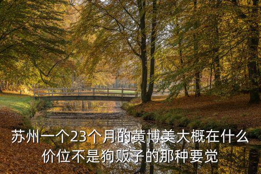 蘇州一個23個月的黃博美大概在什么價位不是狗販子的那種要覺