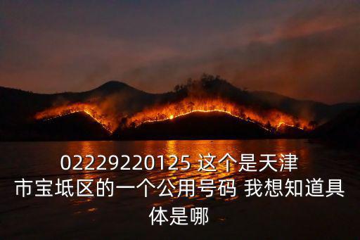 02229220125 這個是天津市寶坻區的一個公用號碼 我想知道具體是哪