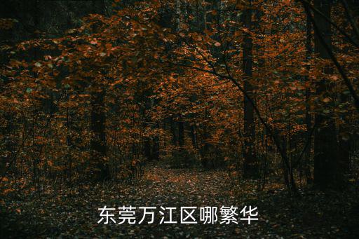 東莞萬江區(qū)哪繁華