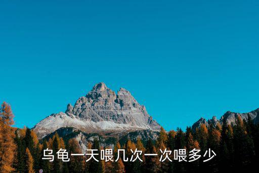 烏龜一天喂幾次一次喂多少