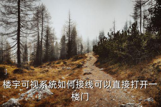 樓宇可視系統如何接線可以直接打開一樓門