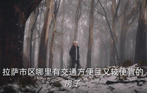 拉薩哪個地方房價便宜，哪里的房價便宜