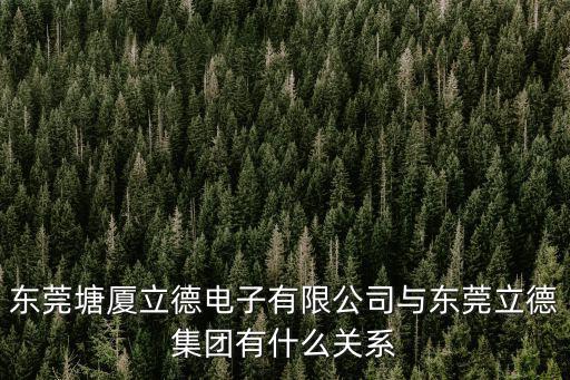 東莞塘廈立德電子有限公司與東莞立德集團有什么關系