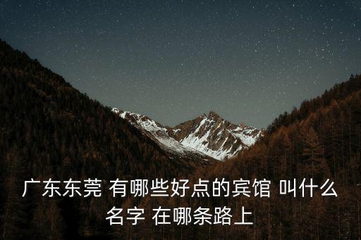 廣東東莞 有哪些好點的賓館 叫什么名字 在哪條路上