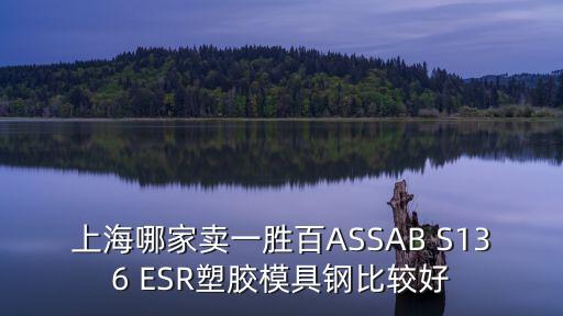 上海哪家賣一勝百ASSAB S136 ESR塑膠模具鋼比較好