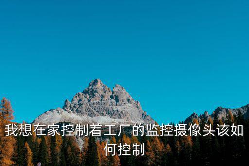 我想在家控制著工廠的監(jiān)控攝像頭該如何控制