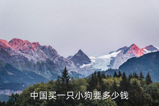 中國買一只小狗要多少錢