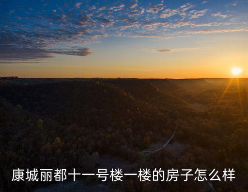 康城麗都十一號樓一樓的房子怎么樣