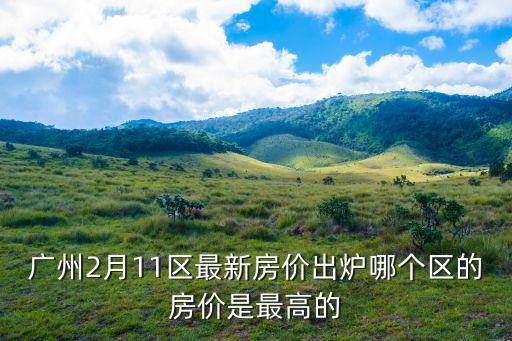 廣州房價哪個區(qū)最貴，廣州哪個區(qū)的房價最高