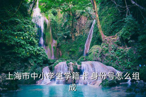 上海市中小學生學籍卡 身份號怎么組成