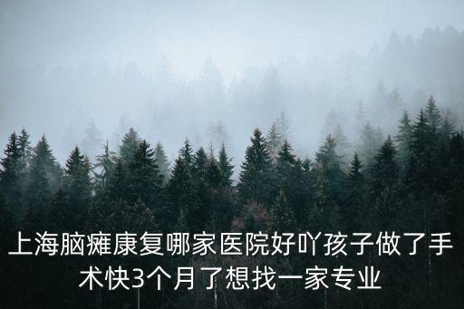 上海市殘聯(lián)兒童康復中心，上海腦癱康復哪家醫(yī)院好吖孩子做了手術快3個月了想找一家專業(yè)