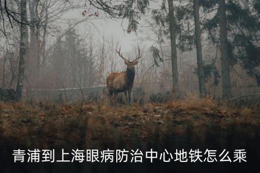青浦到上海眼病防治中心地鐵怎么乘