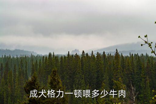 成犬格力一頓喂多少牛肉