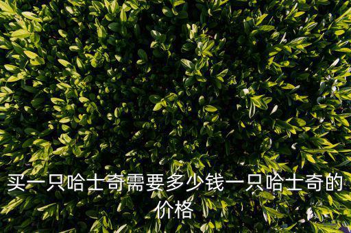 寵物哈士奇多少錢一只，買一只哈士奇需要多少錢一只哈士奇的價格