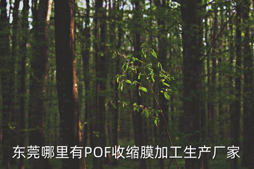 東莞哪里有POF收縮膜加工生產廠家