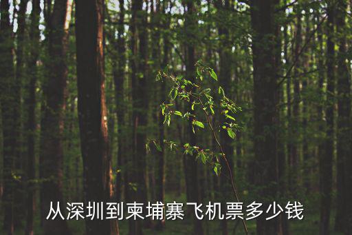 從深圳到柬埔寨飛機票多少錢