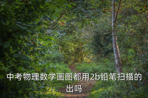 中考物理數(shù)學(xué)畫圖都用2b鉛筆掃描的出嗎