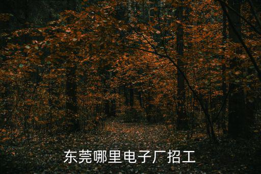 東莞市益臺電子招聘信息，東莞哪里電子廠招工