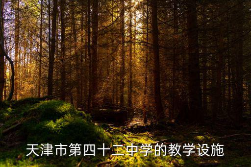 天津市第四十二中學圖書館，天津市第四十二中學怎么樣
