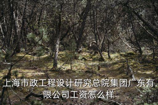 上海市政工程設計研究總院集團廣東有限公司工資怎么樣