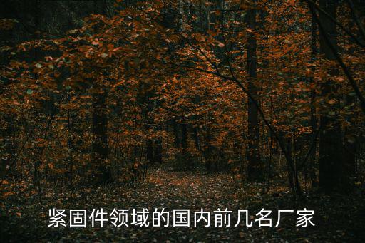 東莞安揚實業，緊固件領域的國內前幾名廠家
