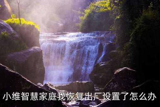 小維智慧家庭我恢復出廠設置了怎么辦